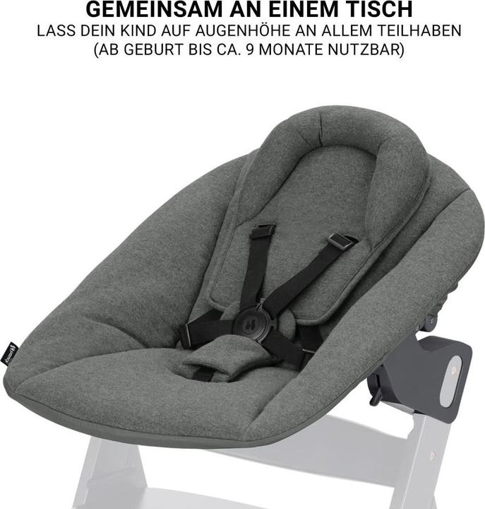 Image du produit Hauck Chaises hautes Beta Plus Natural 5-pièces Newborn Set - Chaise haute + (Chaise haute)