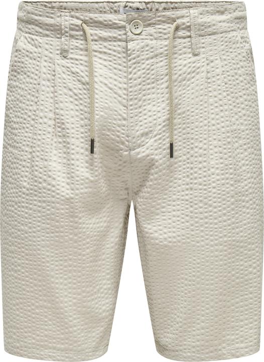 Image du produit Only & Sons Coupe normale Short Short (L)