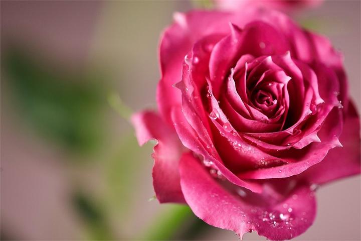 Produktbild Samyang 100mm f/2.8 ED UMC, Sony E (Sony E, Vollformat, APS-C / DX)
