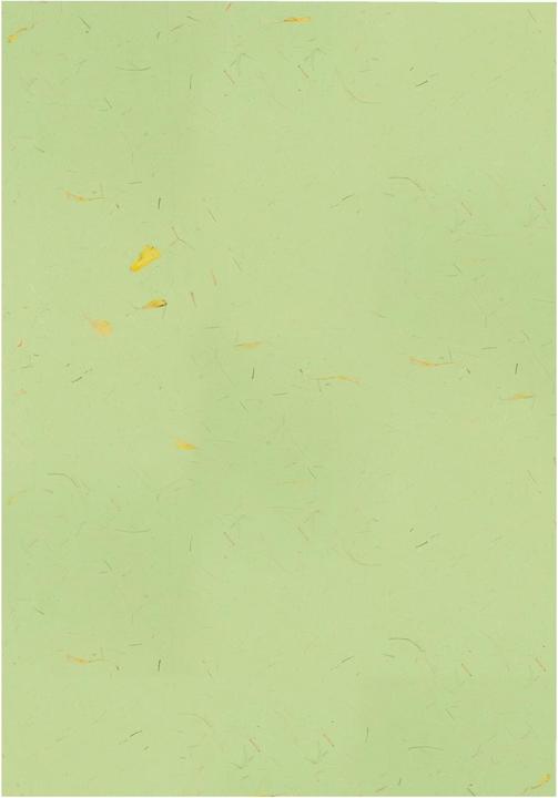 Immagine prodotto Ursus Carta artigianale Carte naturali 10 pezzi, Oceana (70 g/m², 10 x)