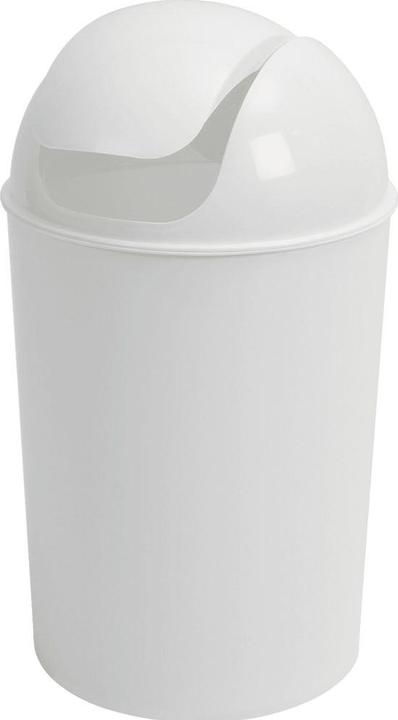 Ebnat Poubelle avec couvercle pivotant (25 l)