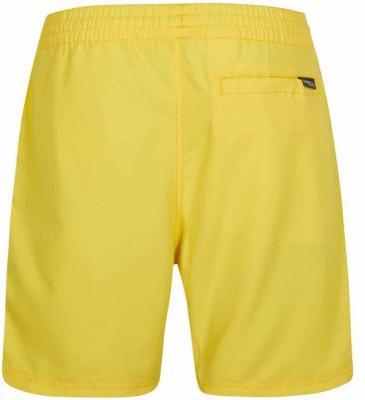 Actual product image O'Neill ORIGINAL CALI 16" SWIM SHORTS (L)