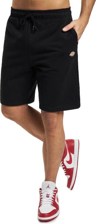 Actual product image Dickies Mapleton Shorts - 121655 (XL)
