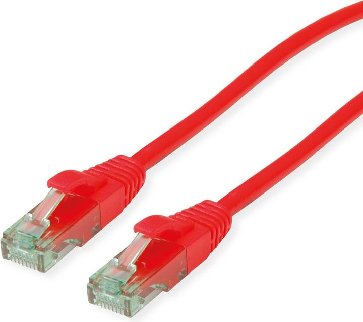 Rot