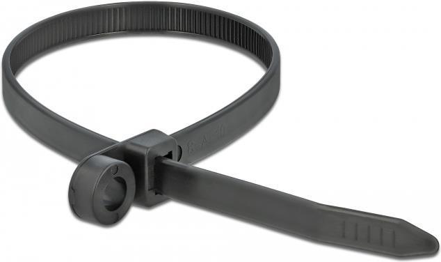 Image du produit Delock Cable tie avec oeillet de fixation (Serre-câbles en plastique, 400 mm, 10 pcs)