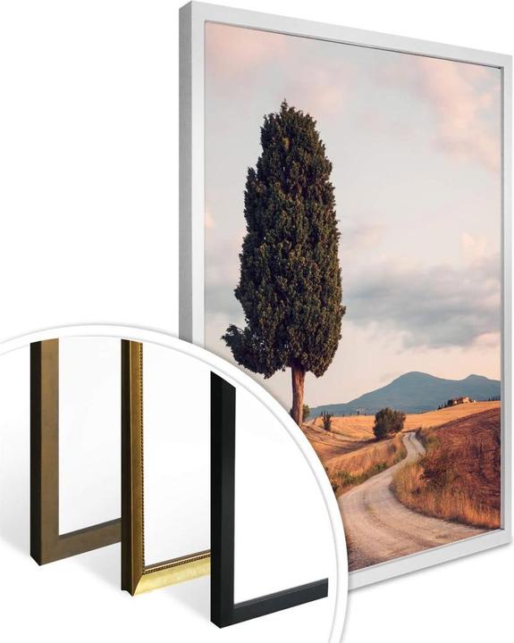Produktbild Trenddeko Zypressenweg (80 x 100 cm)
