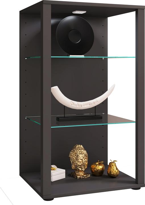 Actual product image VCM Wooden Glass Display Case Collecting Showcase Glass Display Case Floor Standing Showcase Glasol XL (52 x 44 x 90 cm)
