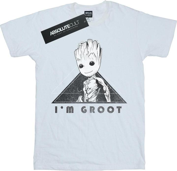 Image du produit - T-shirt GUARDIANS OF THE GALAXY VOL. GROOT MONO TRIANGLE - Homme (XXL)