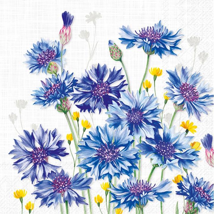 Produktbild IHR Blaue Kornblumen (20 x, 33 x 33 cm)