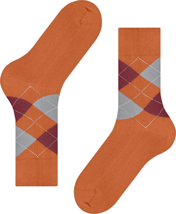 Image du produit Falke Sensitive Argyle Herren (39 - 42)
