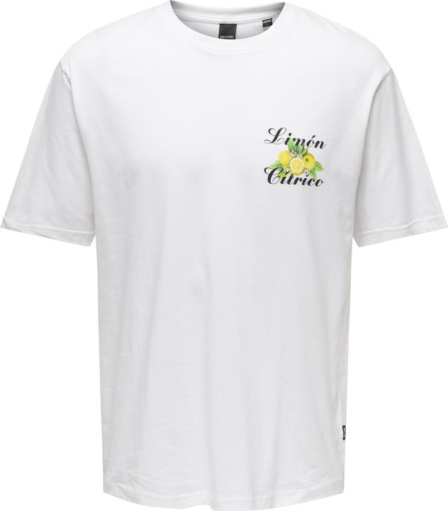 Only & Sons Onskeane Rlx Ss Print Tee Noos (M)