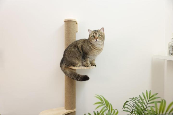 Produktbild Kerbl Kratzsäule Timber für Katzen (127 cm, Hellbraun)