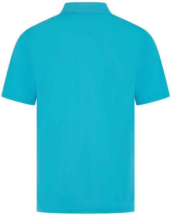 Actual product image Henbury Mens Pique Polo Shirt (4XL)