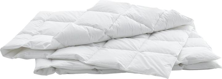 Actual product image Billerbeck Edition Thea Clima Superlight (360 g, 200 x 210 cm)