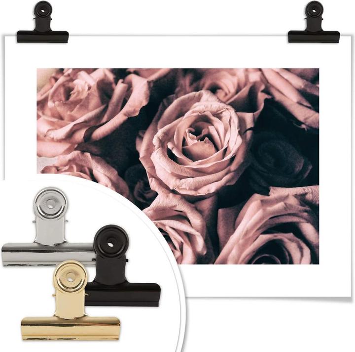 Immagine prodotto Trenddeko Rose rosa in stile vintage (30 x 24 cm)