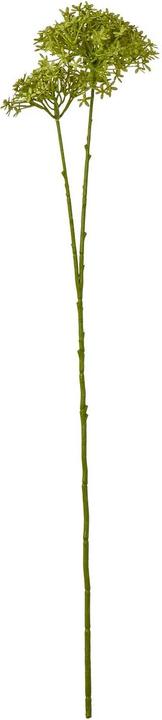 Produktbild Hill Interiors Kunstblume (71 cm)