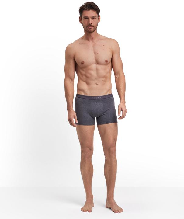 Actual product image Falke 2-Pack Men (L, pack of 2)