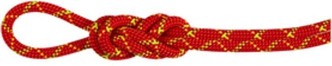 Produktbild Mammut 8.0 Alpine Core Protect Dry Rope (50 m)