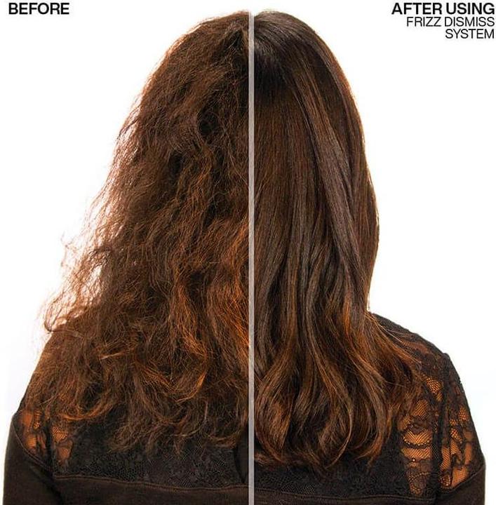 Produktbild Redken Frizz Dismiss Rebel Tame (250 ml)
