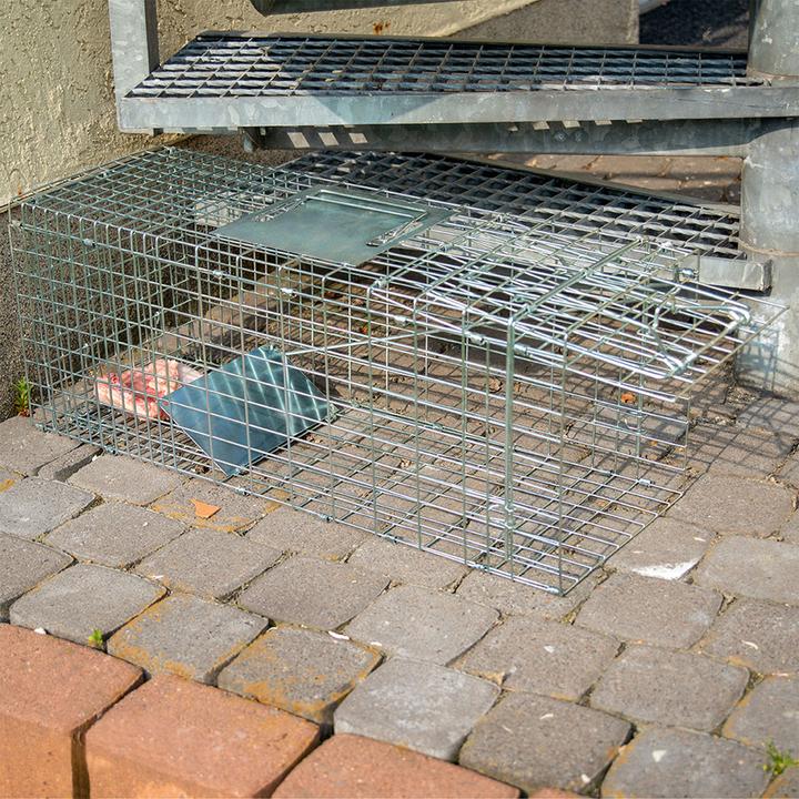 Image du produit Gardigo Lot de 2 cages à fouines Piège à vie