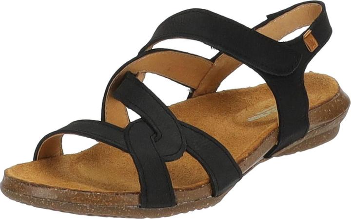El Naturalista Sandalen (36)