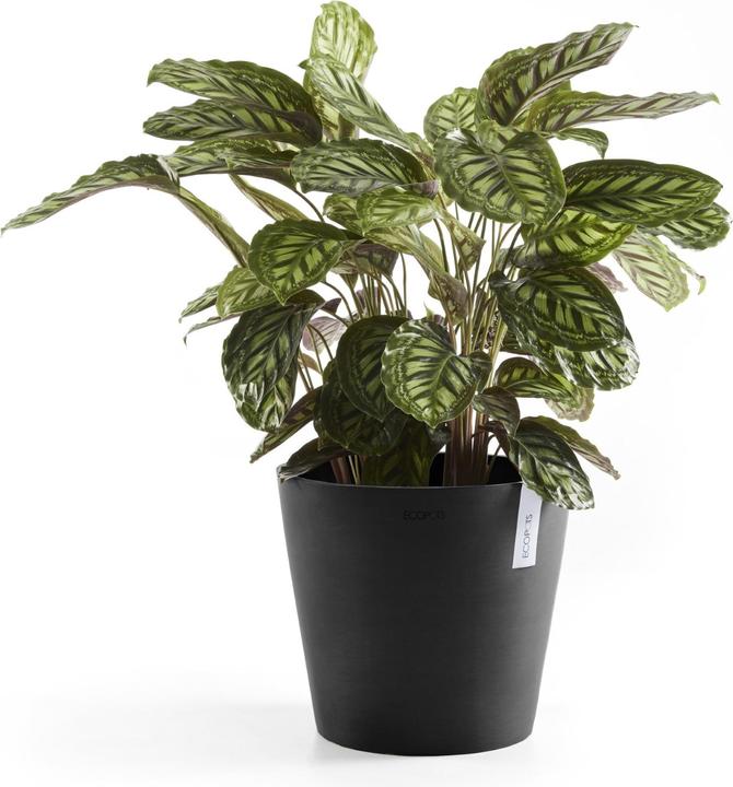 Produktbild Ecopots Amsterdam + Wasserbehälter (30 cm)
