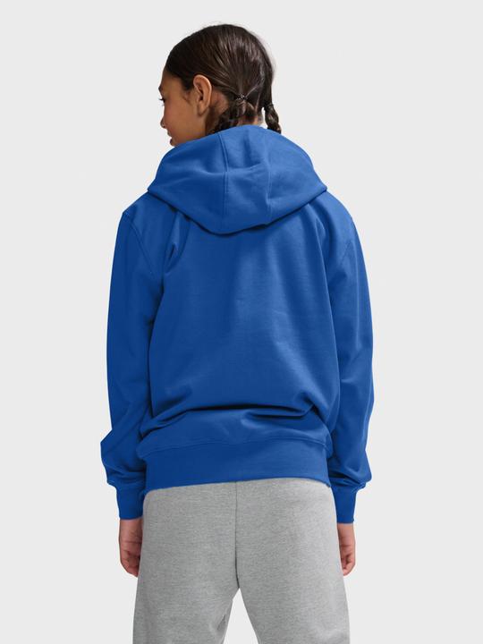 Immagine prodotto hummel Hmlgo 2.0 Felpa Con Cappuccio E Zip Bambini (164)