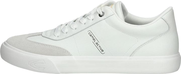 blanc cassé 510