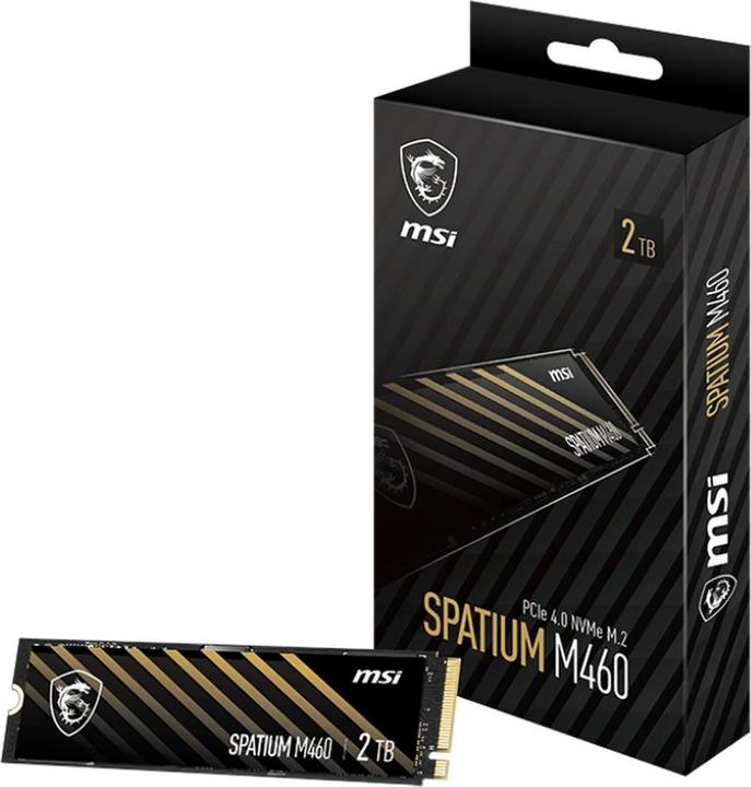 Produktbild MSI Spatium M460 (1000 GB, M.2 2280)