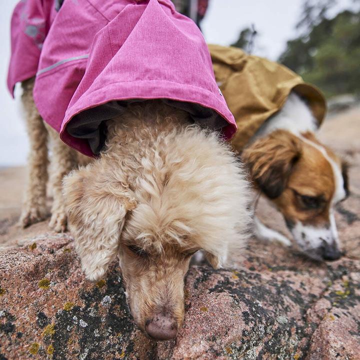 Actual product image Hurtta Monsoon V2 Eco Pink mackintosh, 40 cm (40, Dog raincoat)