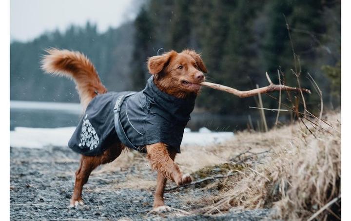 Productafbeelding Hurtta Monsoon Jas Regenjas (20, XXS, XS, Hond mackintosh)