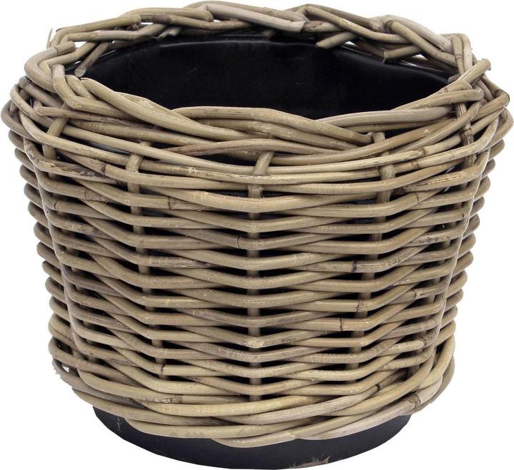 Immagine prodotto Van der Leeden Vaso a secco (26 cm)