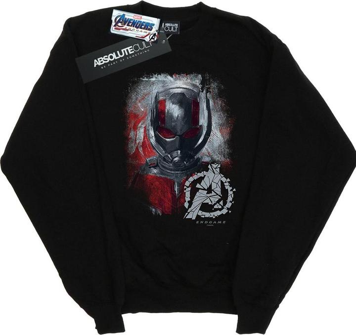 Image du produit - Sweat AVENGERS ENDGAME ANT-MAN BRUSHED - Garçon (140, 146)