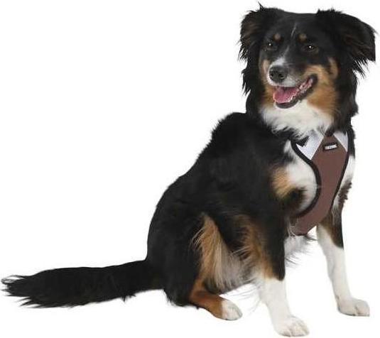 Image du produit Kerbl Pulsive (Chien, Sport canin)