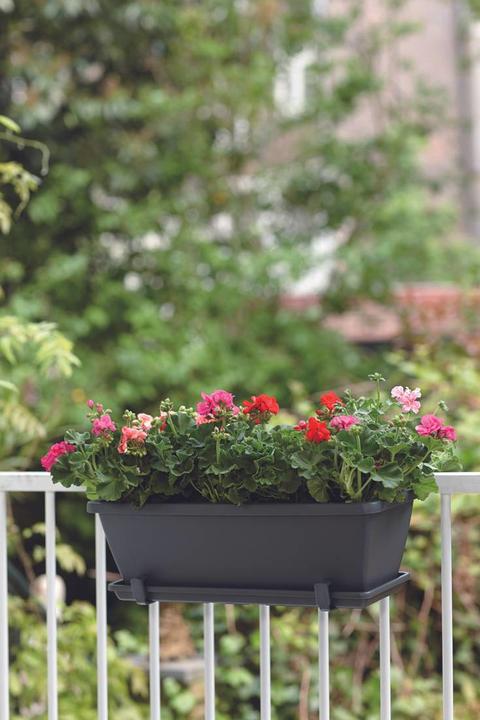 Actual product image Elho Flower Box Barcelona L 90 cm anthracite (89.80 cm)