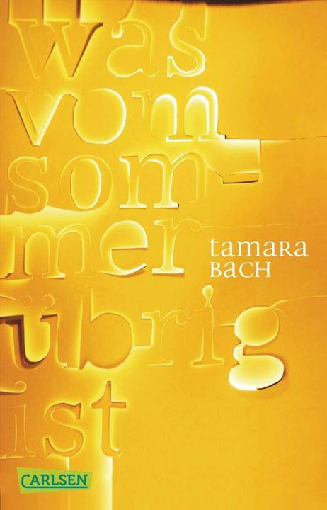 Image du produit ce qui reste de l'été (Le ruisseau Tamara, Allemand)