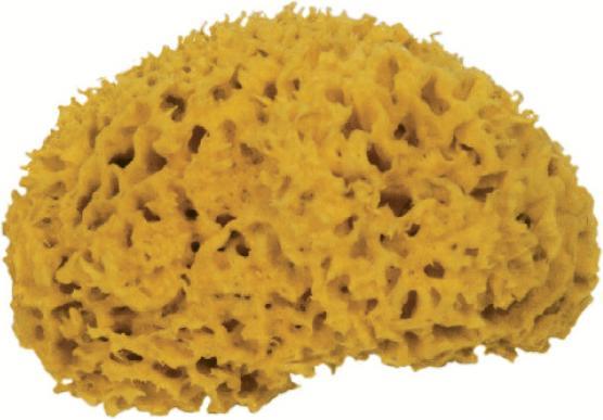 Actual product image Marina Nature sponge (1 pcs.)
