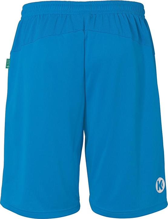 Image du produit Kempa Shorts Performance (116)