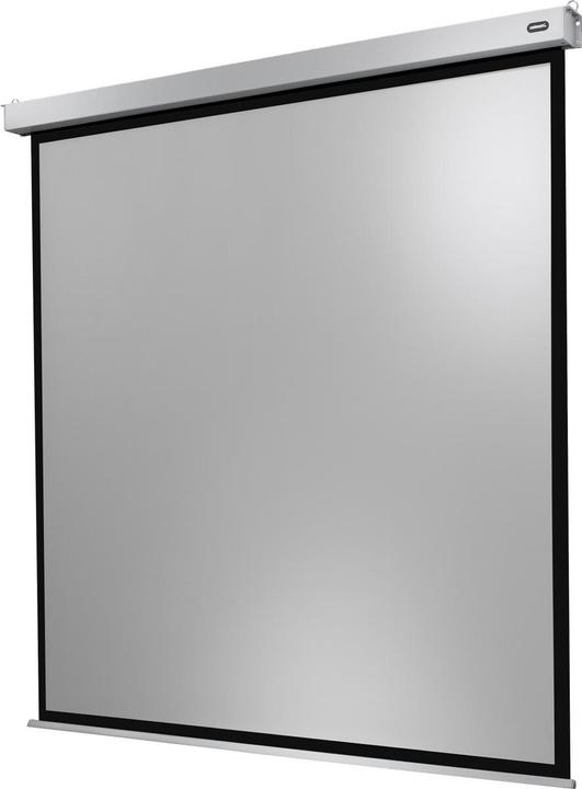Produktbild Celexon Motor Professional Plus (100", 1:1)