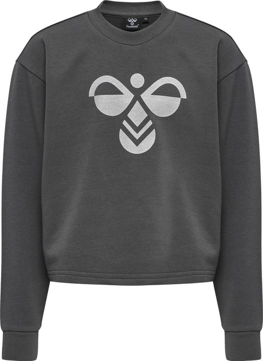 Image du produit hummel Sweat-Shirt Cinco (104)