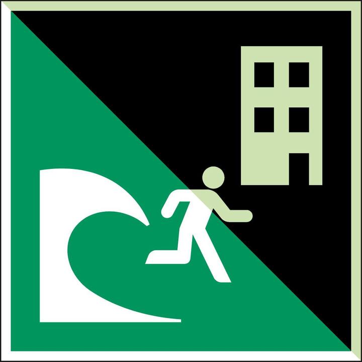Image du produit Brady Panneau de sécurité ISO - Bâtiment d'évacuation en cas de tsunami