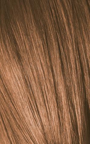 Produktbild Schwarzkopf Professional Igora Expert Mousse (100 ml, Schaumfestiger)