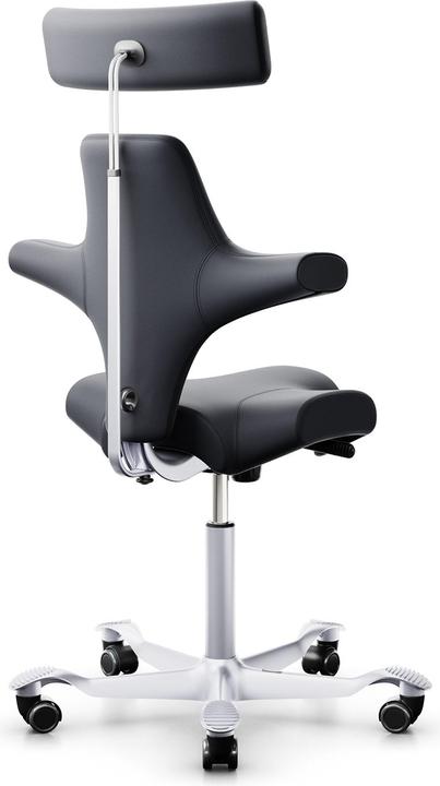 Actual product image HAG Capisco 8107