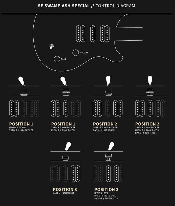 Immagine prodotto PRS Speciale frassino di palude (Chitarra elettrica, Frassino di palude, Acero)