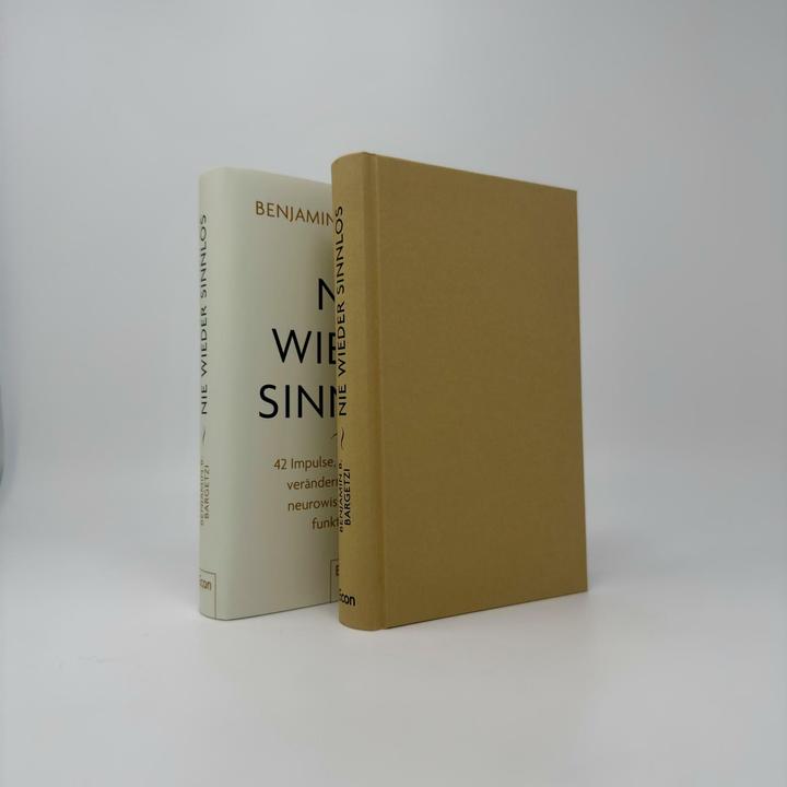 Actual product image Nie wieder sinnlos (German, Benjamin B. Bargetzi, 2025)