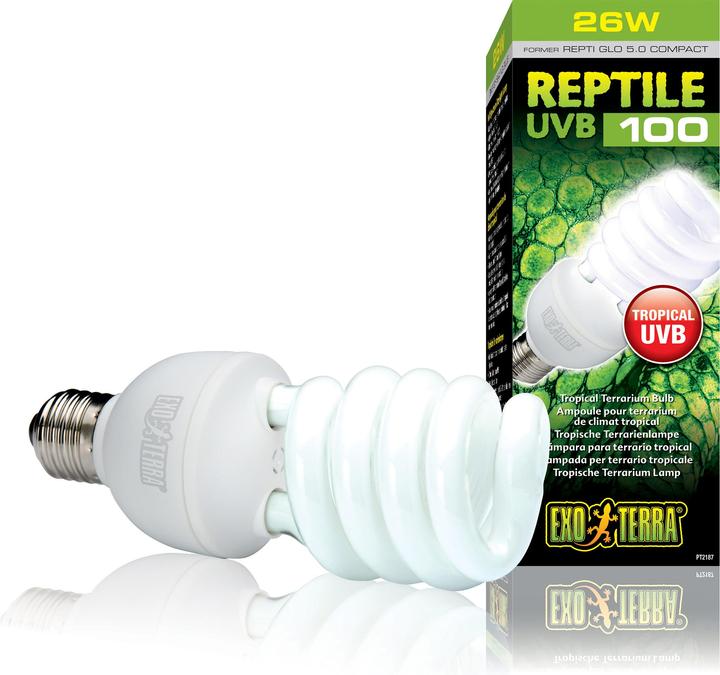 Exo Terra Kompakt Leuchtstoffröhre Repti Glo (UVB, UVA)