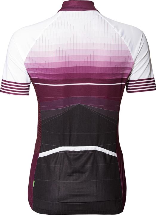Image du produit Vaude Tricot Posta HZ pour femme (L)