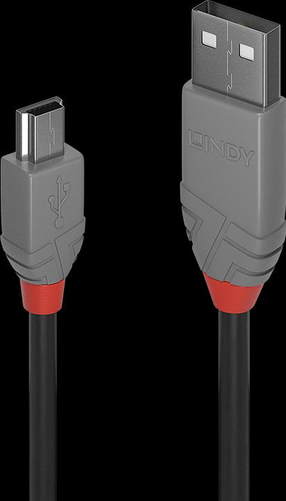 Productafbeelding Lindy Anthra Lijn (0.20 m, USB 2.0)