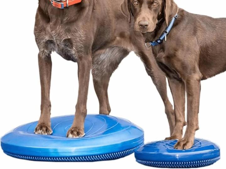 Produktbild FitPaws Balance Disk (Agility)