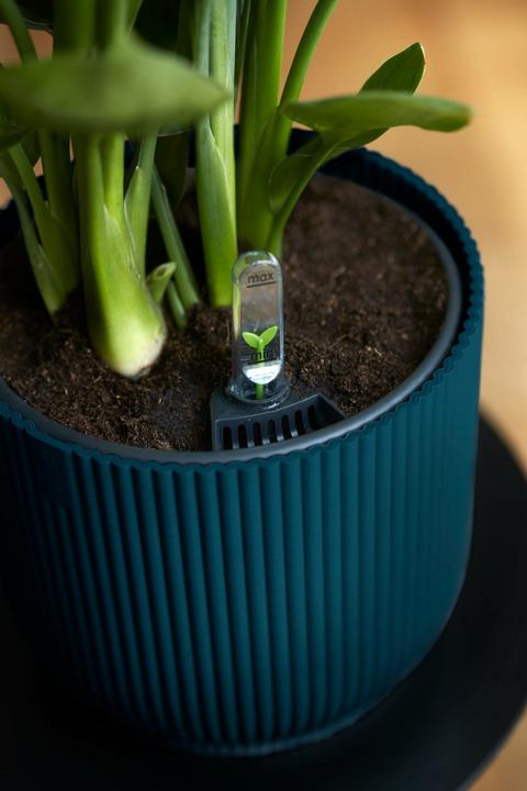 Image du produit Elho Vibes (25 cm)